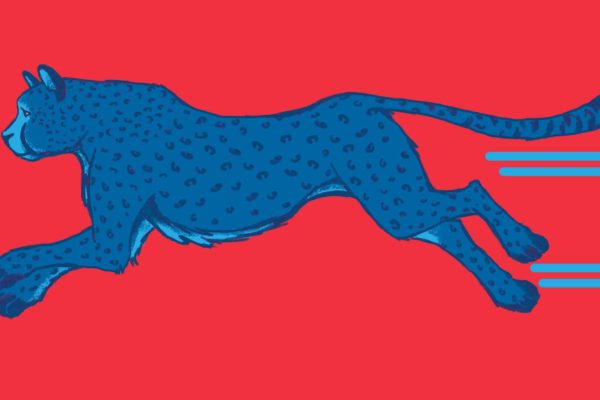 GIF_CHEETAHclr