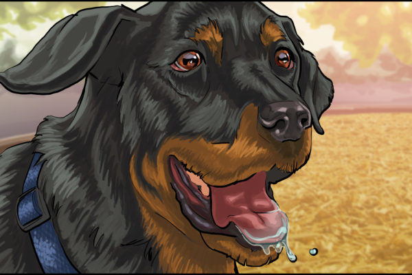 Rottweiler, schwarz-braunes Fell auf einem Hund, illustriert von ASB Storyboard Artist, Ryan, Stil: Farbrahmen, 2D-Kunst für Animatic- oder Storyboard-Rahmen